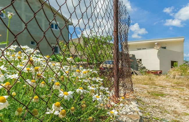 House Cattleya - Photo 23