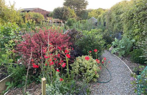 Little Linney - Sleeps 2 - Garden - Wifi - Parking - Photo 63