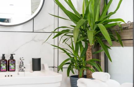 Tremfan Gorwel - Photo 50