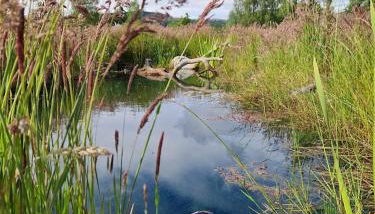 Byre 1 InThePark - Foto 2