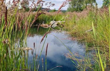 Byre 1 InThePark - Foto 2