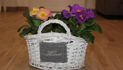 "Home away from home" - Foto 5