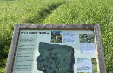 Cosy and secluded brook-side lodge - Foto 8