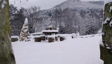 Domki pod lipą - Foto 2