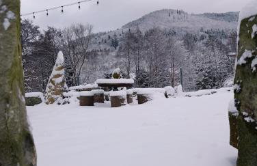 Domki pod lipą - Foto 2