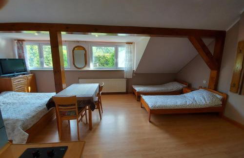 Agroturystyka Pod Klonem - Foto 57