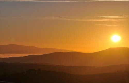 Quinta Rota d' Oliveira - Foto 13