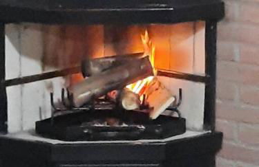 Chácara Recanto Feliz - Foto 17