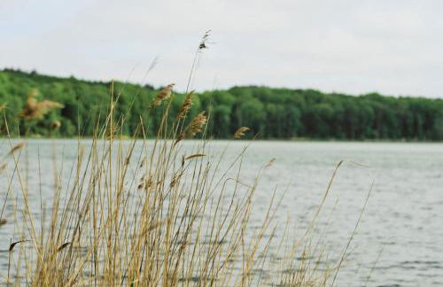 Apartment B12 Balkon mit Naturblick & Nutzung der Wellness- & Aktivbereiche im Pine Hill Resort - Foto 33