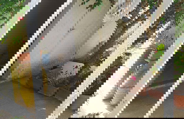 Guest House Salentojoy - Foto 12