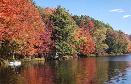 Stunning! Pocono Escape! HotTub Sauna Pool Ski Pet-Friendly Firepit Game Room Fireplace BBQ Lakes Tennis Fishing - Foto 80