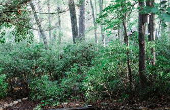 The Rosewood Cottage - Sauna, Soak, and Luxury - Foto 39