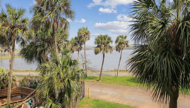 Servicios del alojamiento