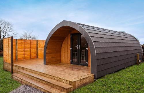 Chestnut-Uk7586 - Foto 2