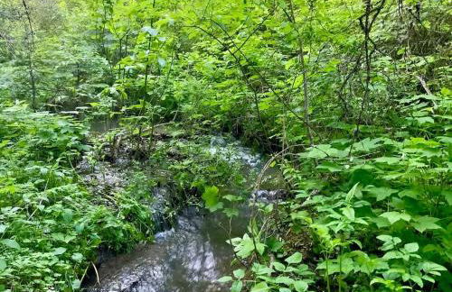 Private Forest Lodge Near Silverwood Theme Park - Sleeps 10 - Foto 40