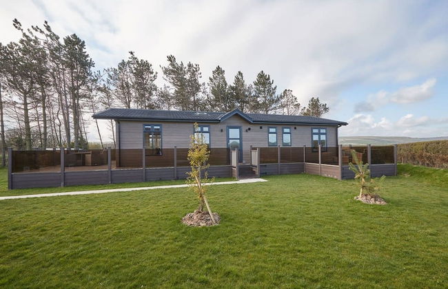 Host Stay Salt Seaweed - Foto 20