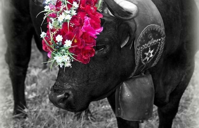 Agriturismo La Grange - Foto 27