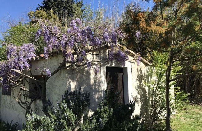 Oud Wijnhuis Mas - Foto 35