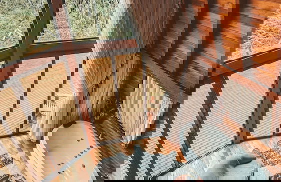 Recanto Lavi - Foto 22