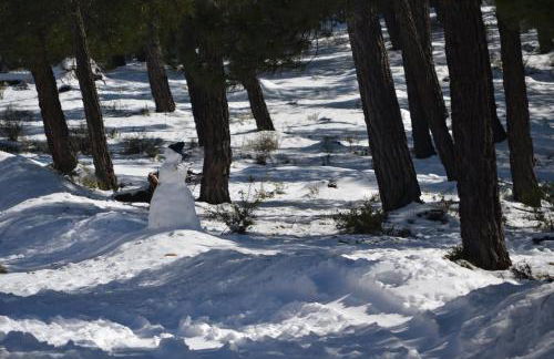 Acogedor apartamento privado con fantásticas vistas - Foto 27