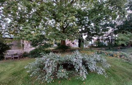 Zwei "Giebelwohnungen" im Kunstgut Krahne - Foto 31