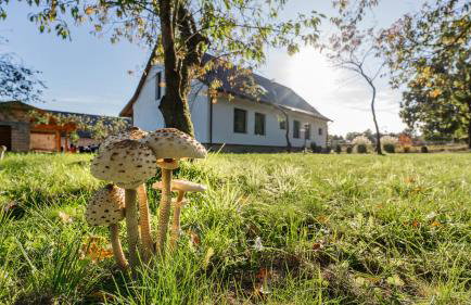 Dom Przy Puszczy Noteckiej - Foto 3