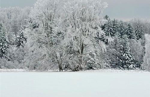 Ferienhaus Kirschblüte - Foto 40