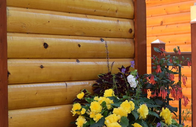 Alaska Adventure Unlimited Chalets - Foto 32