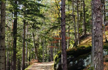 Apartament nad Potokiem - Foto 16