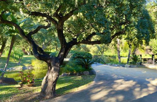 La Fuente del Pedregal Casa 1 - Lago y piscinas - Photo 50