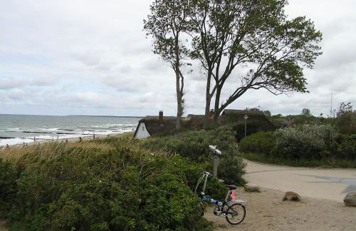 Zum alten Seemann - Foto 20