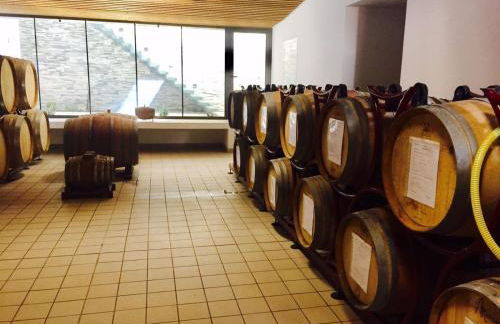 Palazzo Tronconi agriturismo - Foto 53