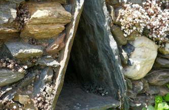 Casa Laranjeira - Foto 23