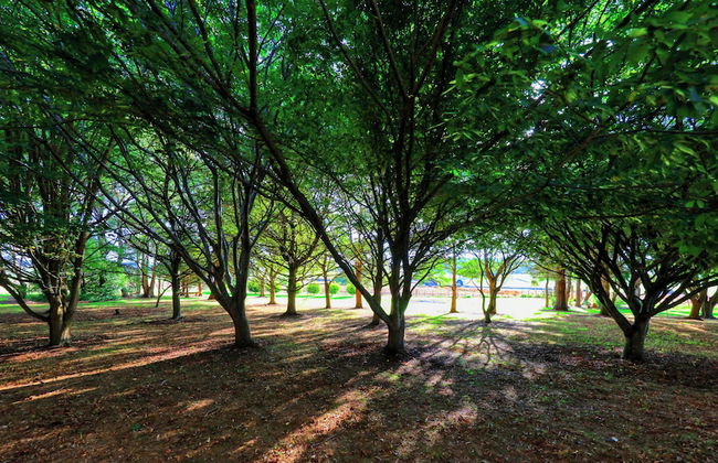 Boat Harbour Garden Cottages - Foto 42