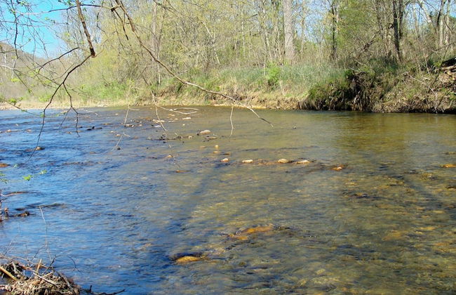DeHart Cabin - Foto 11