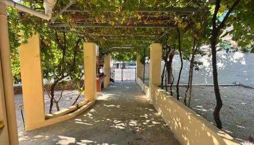 Amalthia House - Foto 3, Garden