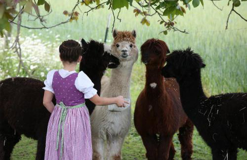 Beim Lenglacher - Photo 10