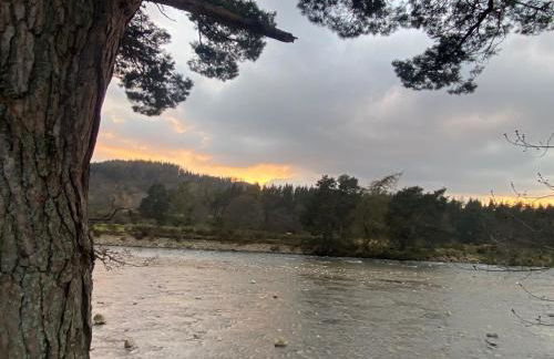 1 Golf Mews - Foto 13