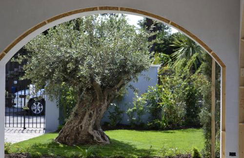 Acqua Resorts - Foto 12