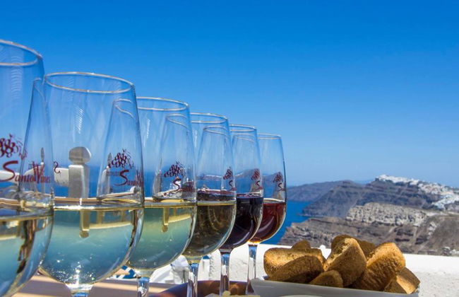 Wine Tasting in the 3 Remarkable Island Wineries with a certifies Wine Guide– Half-Day Private Tour - Foto 2