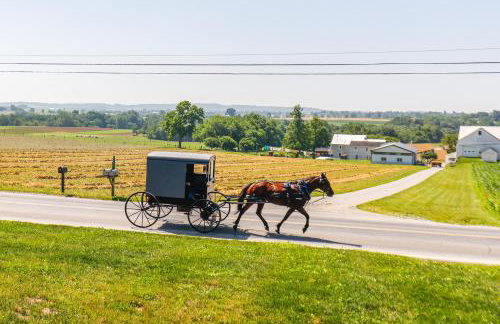 Walk to the Amish Village Spacious Ronks Getaway! - Foto 32