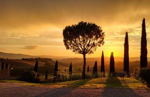 Podere Cunina - Foto 43