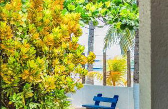 Morada da Praia - Porto de Pedras à Beira-Mar - Foto 78