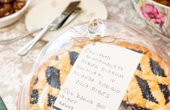 AgriBio Villa Ribes - Photo 17