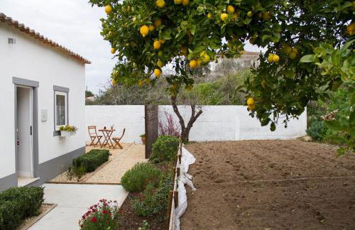 Casa do Avô Serra - Foto 44