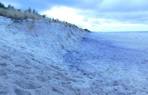 Forest House Sasino-SPA Sauna Balia - Foto 77