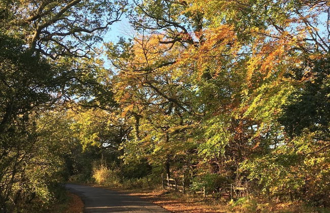 The Hayloft Cottage - Foto 12