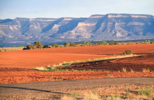 Unique Cortez Family Getaway with Mountain Views! - Foto 45