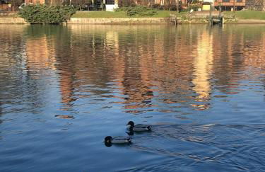 Loft I Cappuccini - Foto 29