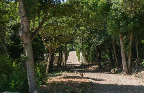 Dolphins Leap by Keepers Cottages - Foto 40